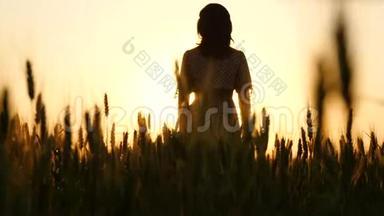 镜头缓缓升起在<strong>金色</strong>麦穗之间.. 那个女孩在日落时站在<strong>阳光下</strong>举手。